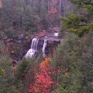 Meet your Posher, Krista